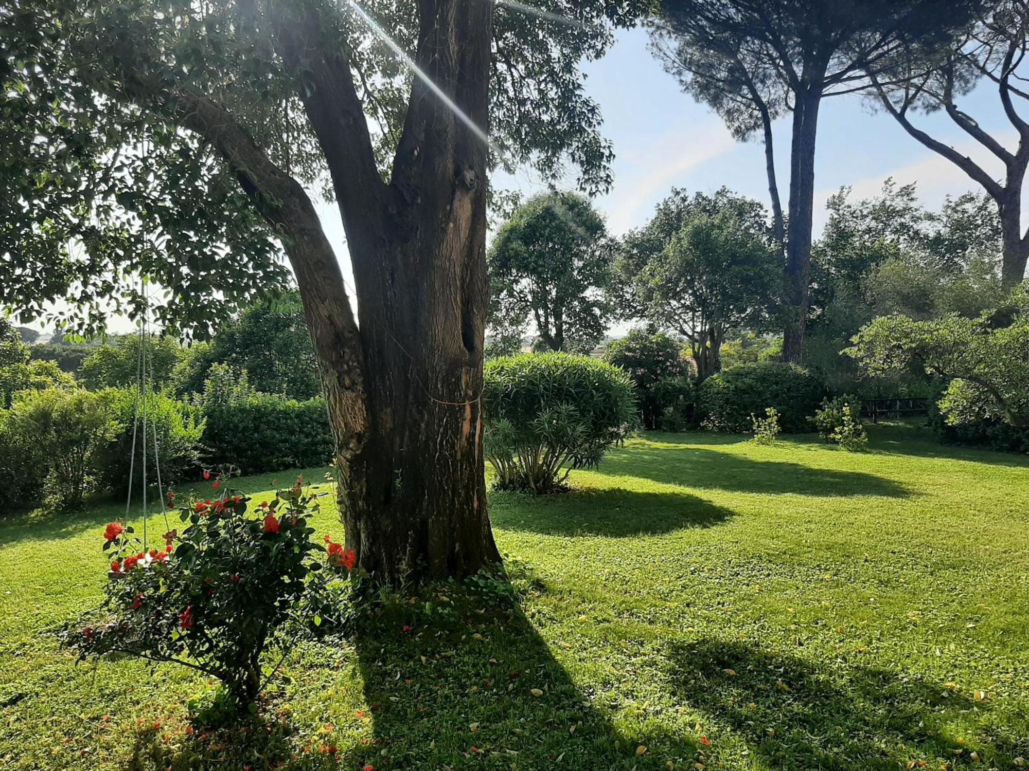 IV Casale Roma Country Villa Bagian luar foto